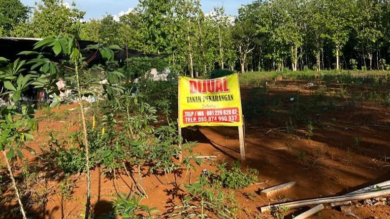 Tanah Dijual di Sleman